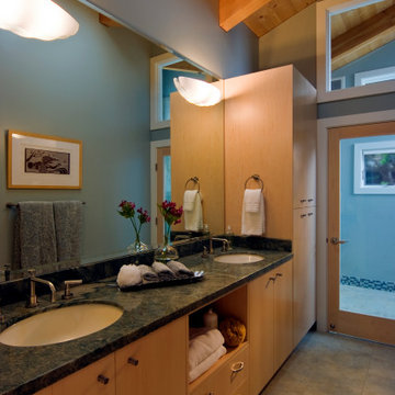 Trione Residence, The Sea Ranch