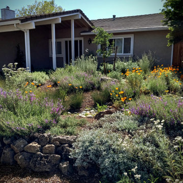 At Home in a Natural California Garden