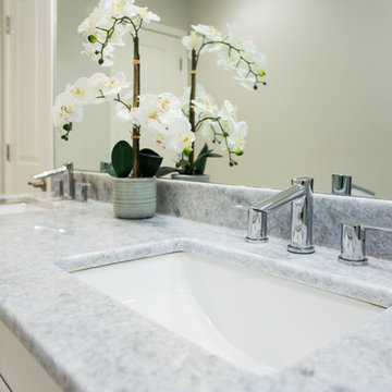 Reston Basement Bathroom Retreat