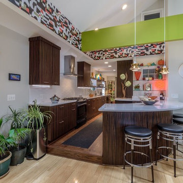 Alexandria Contemporary Kitchen