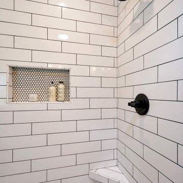 Master Bathroom Remodel (Kekic)