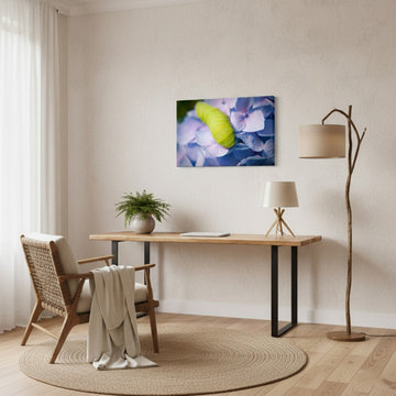 Actias Luna Larva on Hydrangea Modern Organic Style Wall Art