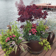 Planter Ideas
