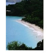 Carla Grose's photo