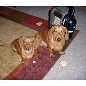 Scott Parker's photo
