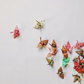 manuela valentina martinez lopez's photo