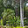 Luis Llenza Garden Designs