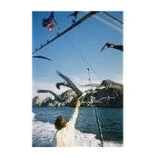 Paul Gunter's photo