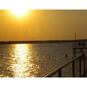Cathy Foster's photo