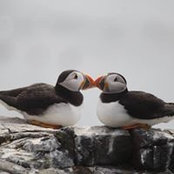 Heather Knight's photo