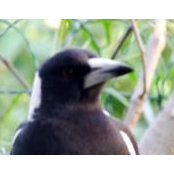 Ann Beatty's photo
