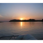 Cindy Miller's photo