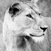 Vicki Naftali's photo