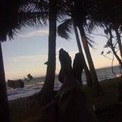 Eusebio Cadavillo's photo