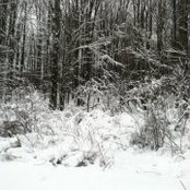 Andrea Malloch's photo