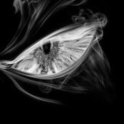 Toni Varacchi's photo