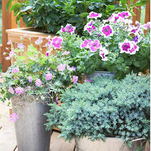 deck/patio