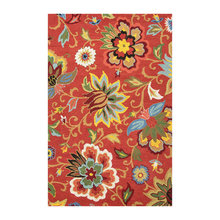 Living Room rug