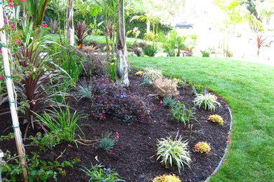 Photo of a mediterranean landscaping in Los Angeles.