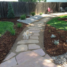 Dog Friendly Landscaping