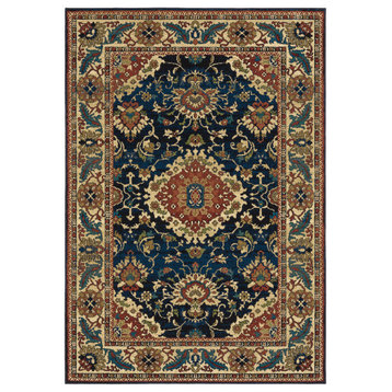 Ayden Bordered Medallion Blue and Red Area Rug, 9'10"x12'10"