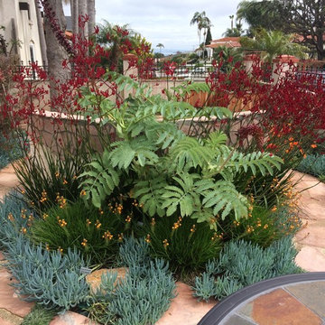 Sustainable eclectic garden