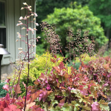 Soft Woodland Sweeps
