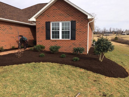 Mulch Vs Ground Cover Mulch Vs Ground Cover, What To Use For Ground Cover Instead Of Mulch