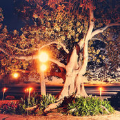 Photo de anniezilla