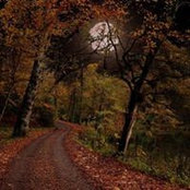 Ruth Brooks's photo