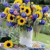 Lisa Janak's photo