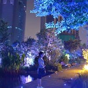 Nguyen Lan's photo