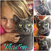 Amanda Tallent Brock's photo