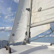 Barry Hill's photo