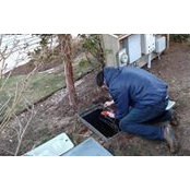 Tom Fitzgerald's photo