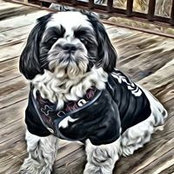Foto de Dianne Meeks
