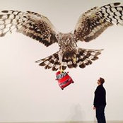 Matt Coakes's photo