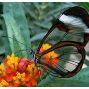 Missy Finegan's photo