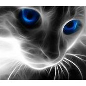 Lisa Sult's photo