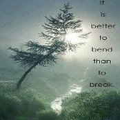 Lynn Hayes-Gallagher's photo