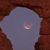 Kristi Davis's photo