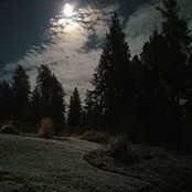 Carol Muzik's photo