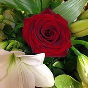 Karen Suber's photo