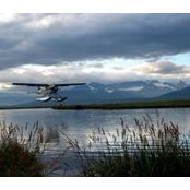 Lee Cohen's photo