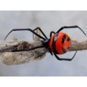 Cynthia Adams's photo