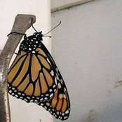 Ann Maddox's photo