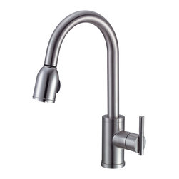 Danze Parma&trade; Single Handle Pull-Down Kitchen Faucet - Kitchen Faucets