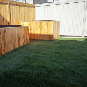 Our Work