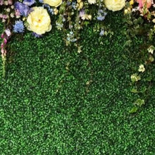 Backdrop