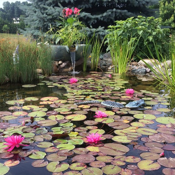 Pond with Natural Wetland Filtration System